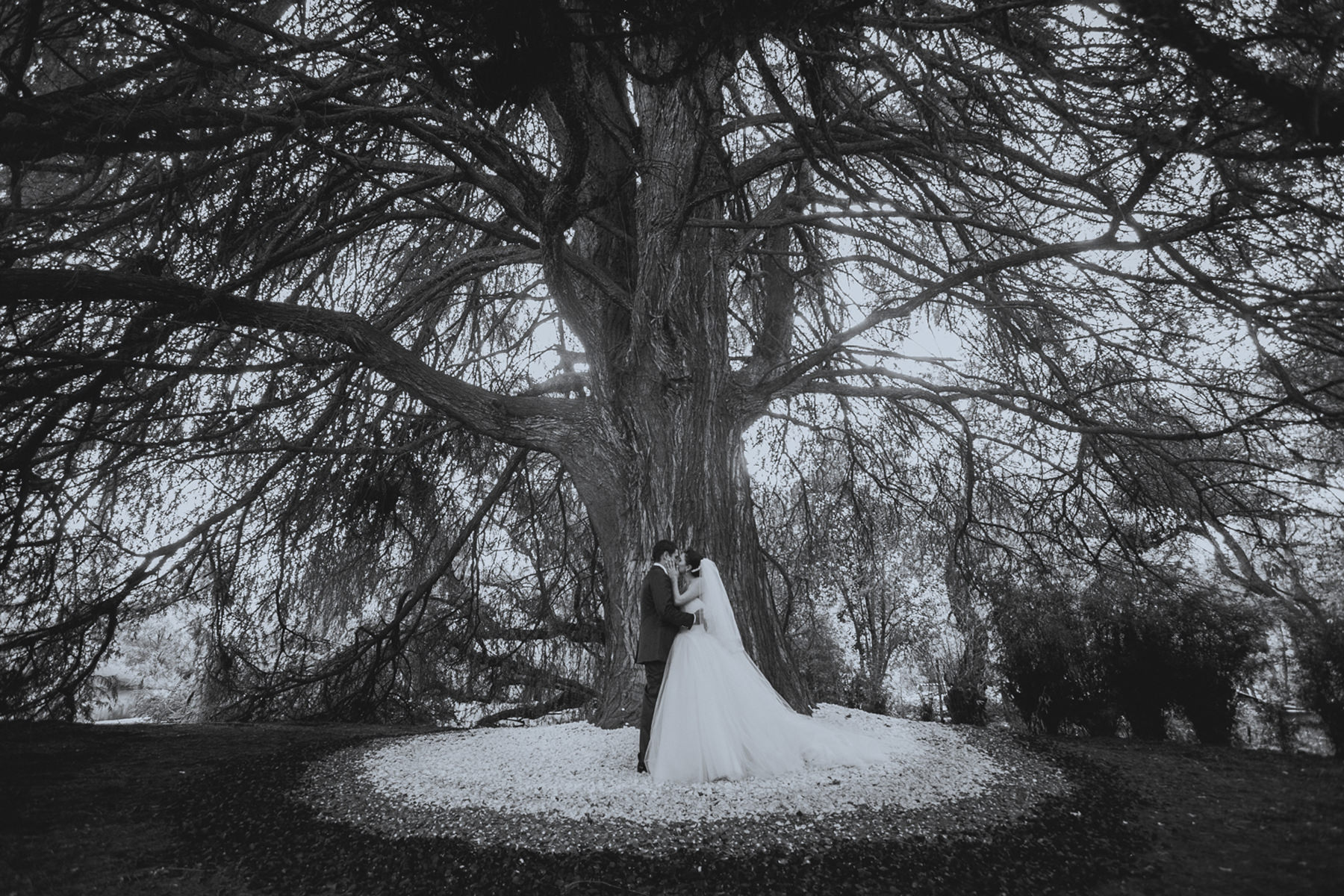 Tepotzotlán_Destination_México_Wedding_Photographer_Peter_Olvera_019