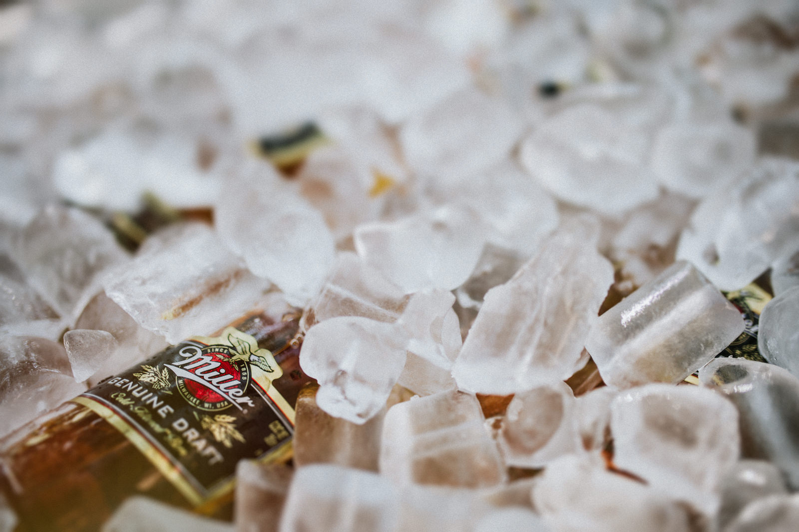 outdoor wedding in guadalajara